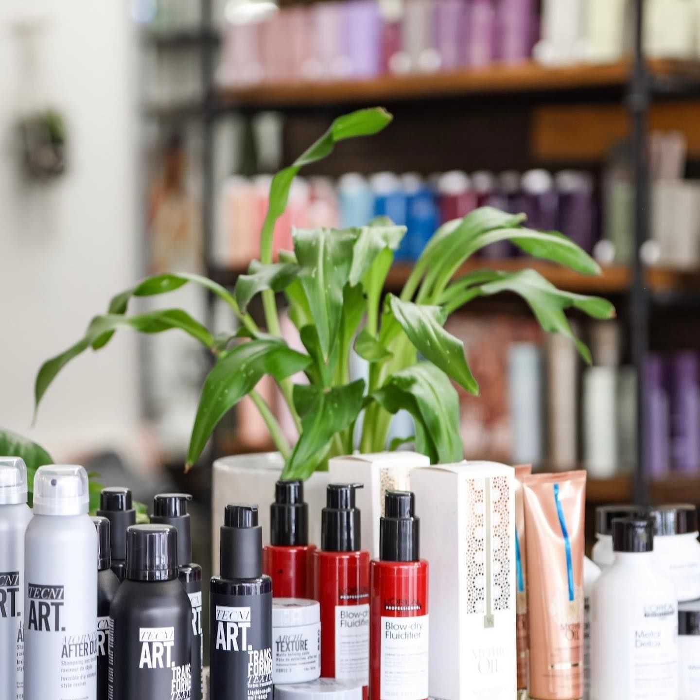 Various hair care products displayed in a salon with a small green plant in the background.